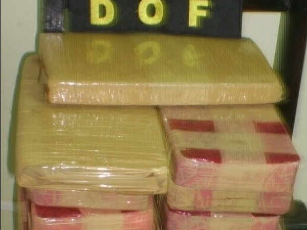 DOF apreende 15kg de maconha em coletivo