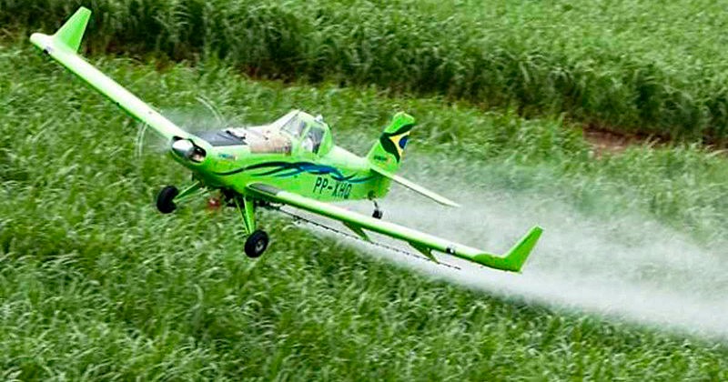 Governo libera o registro de 16 agrotóxicos genéricos para uso dos produtores Foto: Eliana Aponte/Agência Brasil