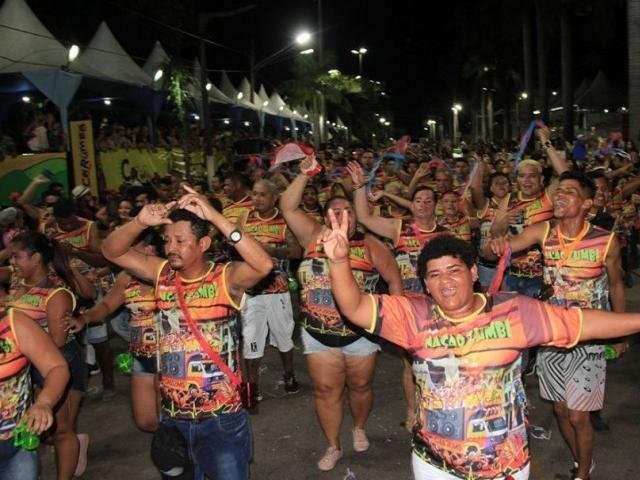 Desfile de escolas de samba em Corumbá durante o sábado (2) (Foto: Gisele Ribeiro)