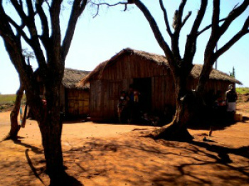 MPF pede indenização de R$ 86 milhões para índios de Japorã MPF pede indenização de R$ 86 milhões para índios de Japorã