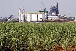 Começa nesta quarta-feira (19) a 2ª edição do Canacentro A abertura do Congresso será nesta quarta-feira (19) no Centro de Convenções Rubens Gil de CamiloFoto: Edemir Gonçalves/Segov