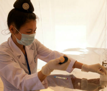 Governos precisam de tomar medidas para evitar mortes prematuras. Foto: OMS