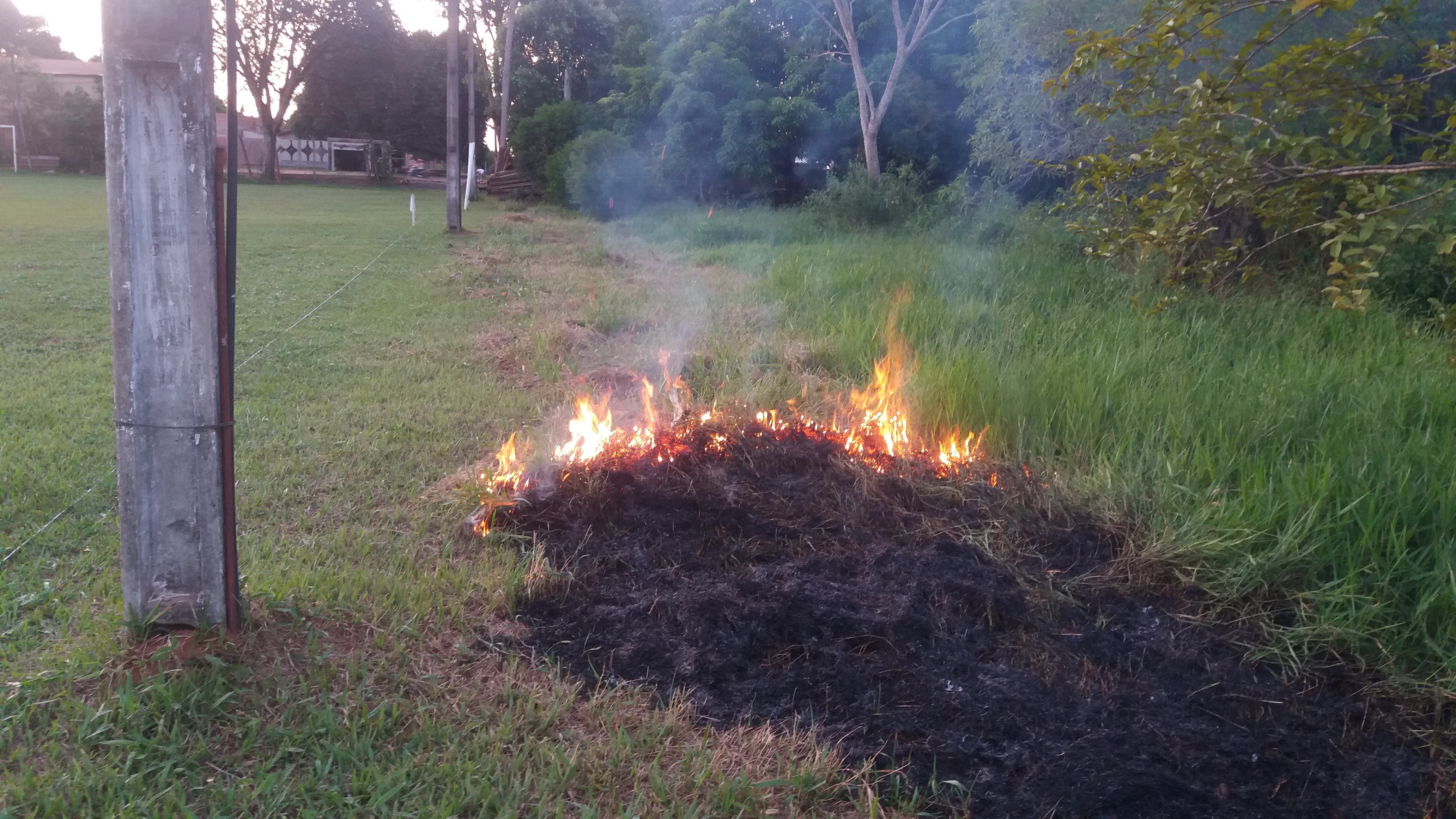Polícia Militar Ambiental autua homem por atear fogo em limpeza de terreno Polícia Militar Ambiental autua homem por atear fogo em limpeza de terreno