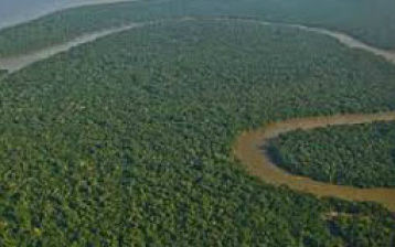 Para conservar mata atlântica o Brasil gastaria 0,01% do PIB, indica publicação Para conservar mata atlântica o Brasil gastaria 0,01% do PIB, indica publicação
