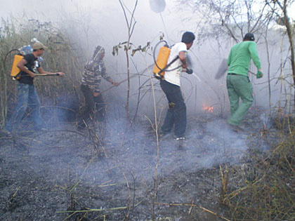 Bombeiros e Ibama iniciam seleção e treinamento para contratação de brigadistas no interior Bombeiros e Ibama iniciam seleção e treinamento para contratação de brigadistas no interior