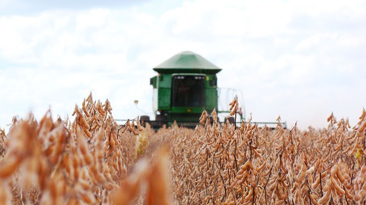 Mato Grosso do Sul chega na reta final da colheita de soja Foto: João Carlos Castro