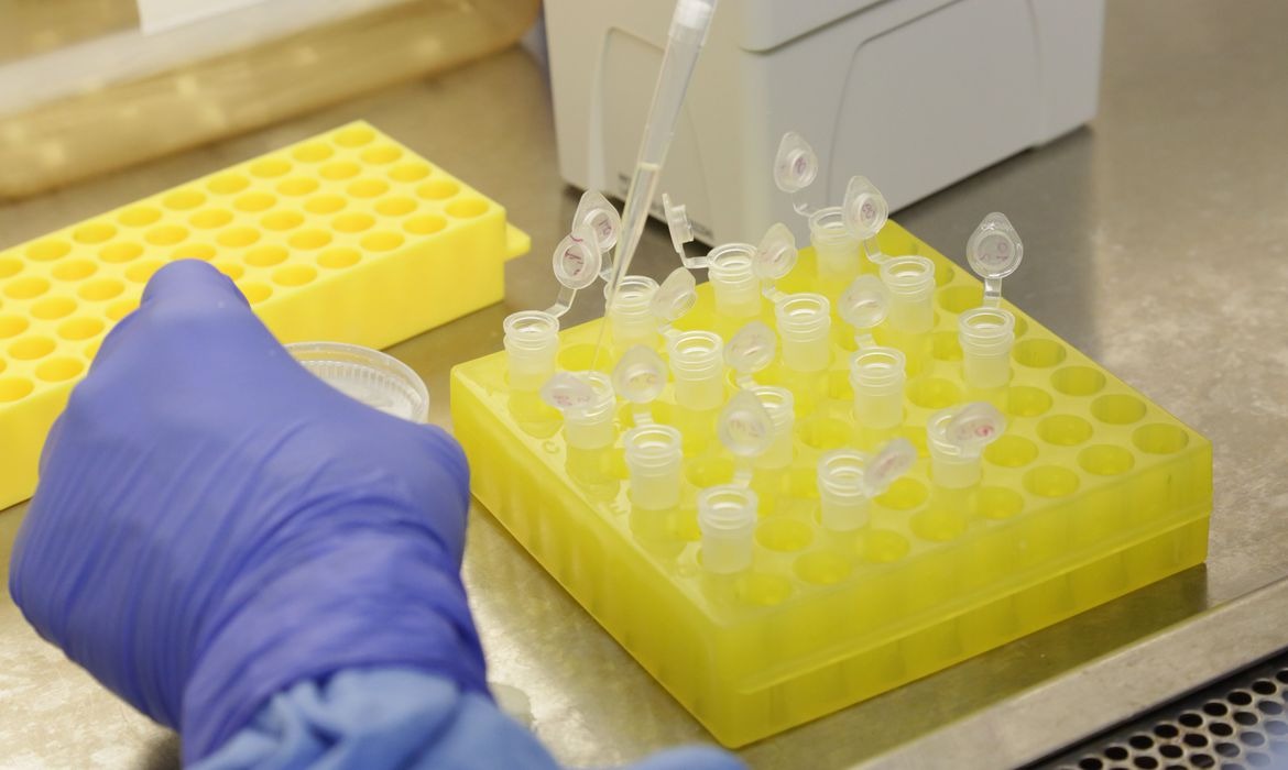 Cientistas identificam proteína que transporta o novo coronavírus Divulgação/Josué Damacena (IO