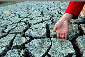 Solo: recursos fundamentais para ação de mitigação das mudanças climáticas