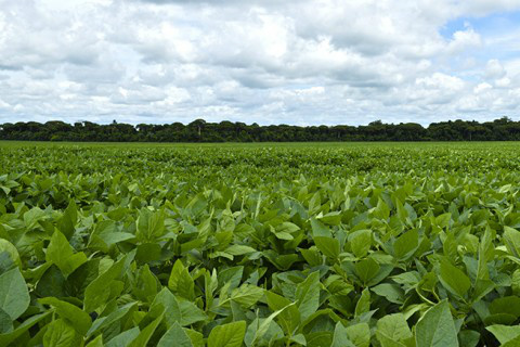 Uma nova era na gestão da agricultura nacional Foto: Ascom Famasul