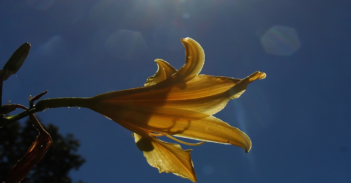 A começar por sexta, fim de semana terá predomínio de sol e calor de 39°C em MS Foto: Chico Ribeiro