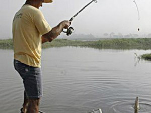 A pesca sem licença não é crime ambiental, porém, é infração administrativa que prevê multa - Divulgação