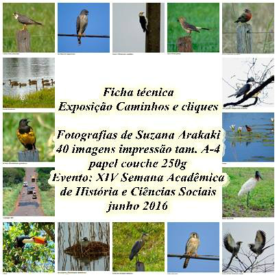 Professora da Uems de Amambai realiza Exposição Fotográfica Caminhos e Cliques Professora da Uems de Amambai realiza Exposição Fotográfica Caminhos e Cliques