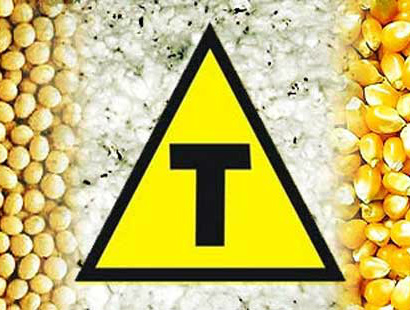 Dez anos de transgênicos no Brasil