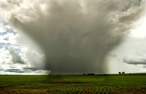 Monitoramento da meteorologia pode ajudar na agricultura