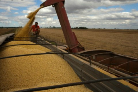 China foi o país que mais importou alimentos do Brasil em 2014 Foto: Ascom Famasul