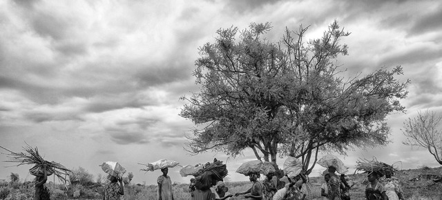 Conflito agrava-se e 10 trabalhadores humanitários estão desaparecidos Chefe da Unmiss diz que a população civil está a sofrer com os conflitos.