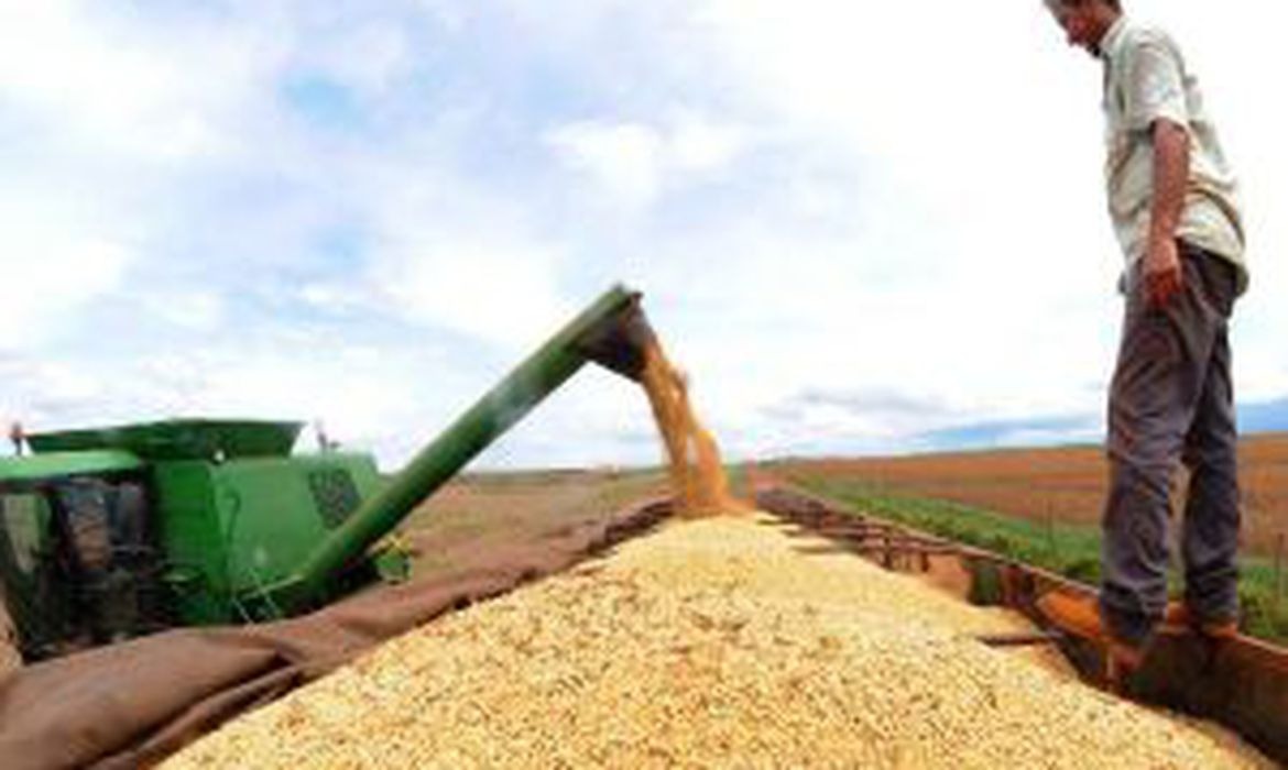Safra pode superar 250 milhões de toneladas, apesar de pandemia EBC