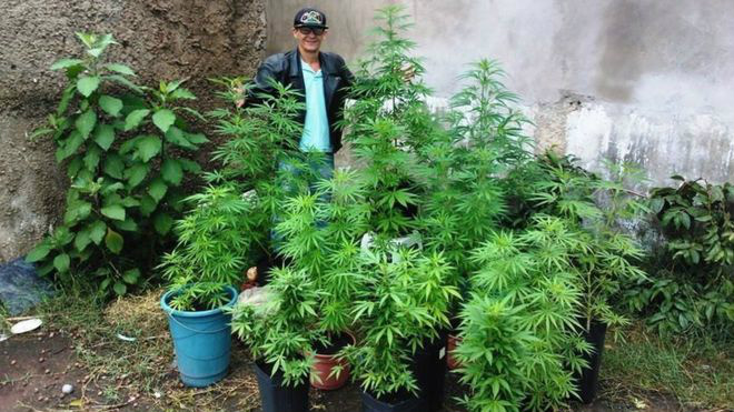 Sérgio Delvair Costa, de 52 anos, foi preso por tráfico e acusado de montar uma cooperativa que reunia 1.200 plantadores de maconha no Brasil