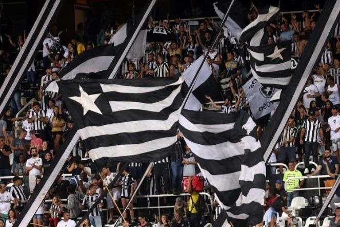 Botafogo duela contra o Grêmio deste sábado em casa (Foto: Divulgação )