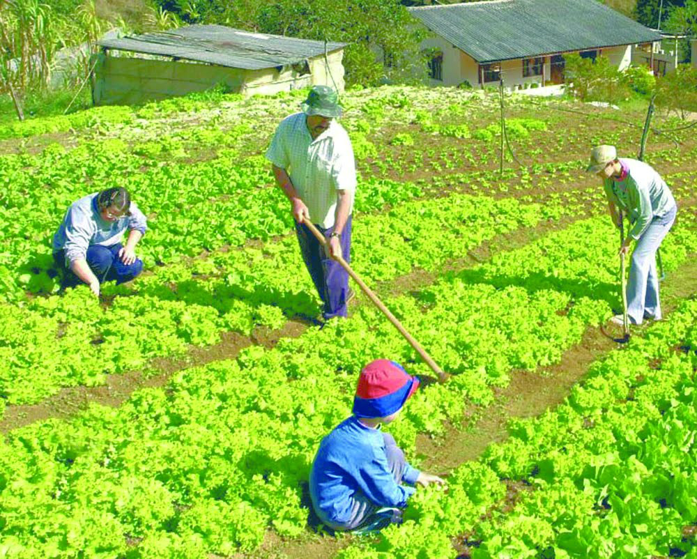 André e ministro do Desenvolvimento Agrário levam benefícios a produtores rurais André e ministro do Desenvolvimento Agrário levam benefícios a produtores rurais