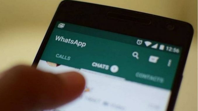 WhatsApp limita número de encaminhamentos de mensagens para conter Fake News A medida é uma tentativa de diminuir a disseminação de notícias falsas / Foto: Divulgação