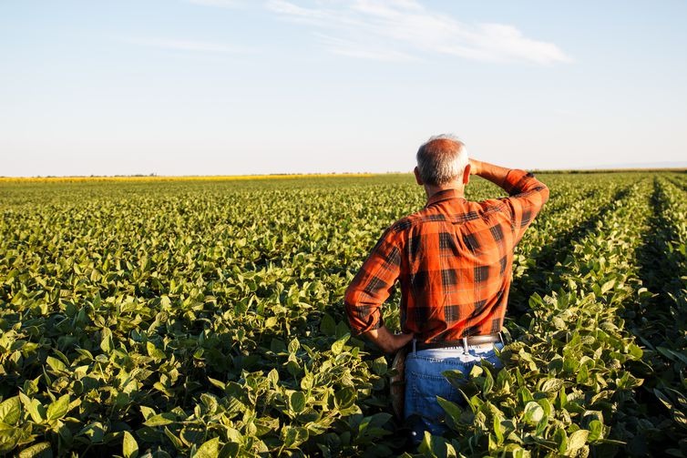 Produtores rurais têm até hoje para aderir ao parcelamento de dívidas Produtor rural - (Arquivo Agência Brasil)