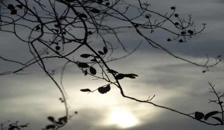 Fim de semana com nebulosidade e pancadas de chuva em MS Foto: Monica Alves