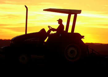 Ministros assinam declaração para minimizar impactos climáticos na agricultura Ministros assinam declaração para minimizar impactos climáticos na agricultura