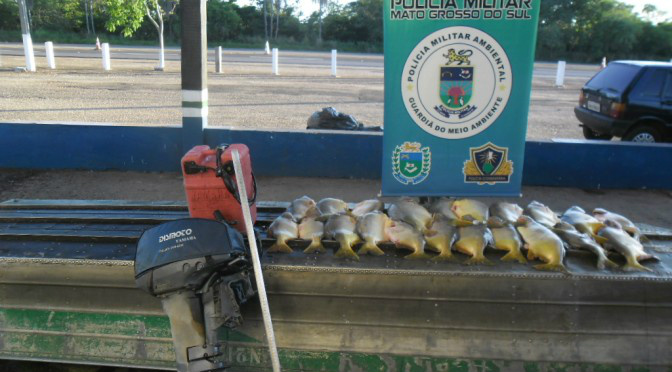 PMA autua 22, apreende 304 kg de pescado e aplica R$ 54,1 mil em multas em dois