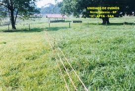 Produtores aprendem manejo de pastagens