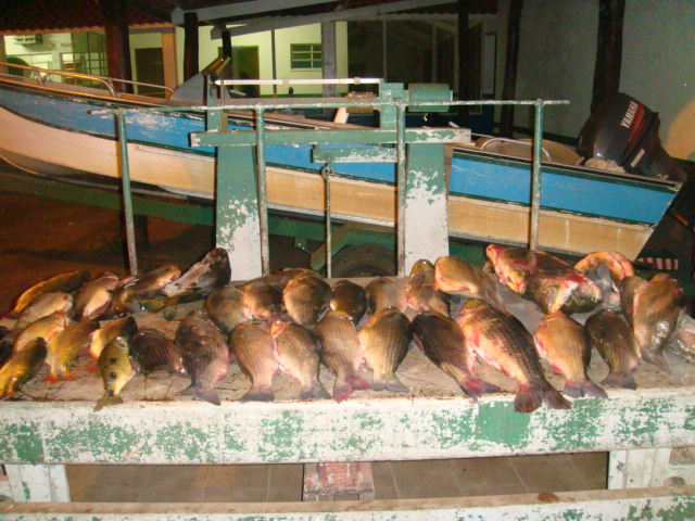 PMA prende dois pescadores e apreende 50 kg de pescado