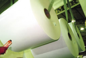 Exportação de celulose em MS registra alta de US$ 548 milhões