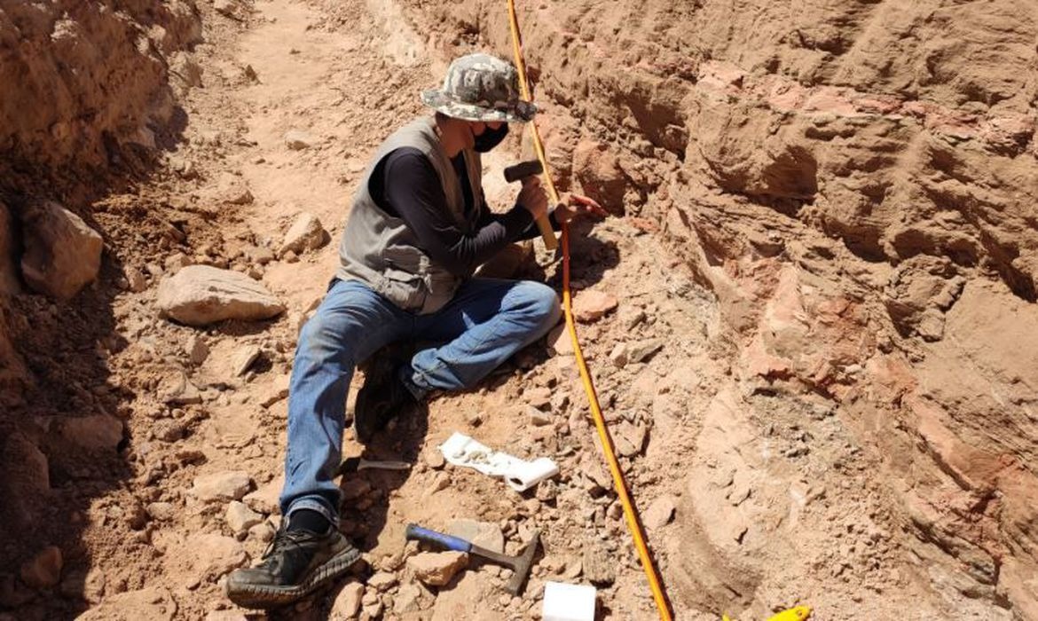 Escavação em rodovia de SP revela fragmentos de dinossauro Foto: Agência Brasil