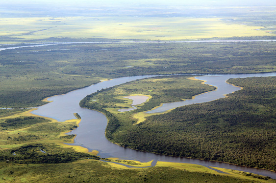 Na Semana do Meio Ambiente, governo destaca ações realizadas nos últimos 6 anos Na Semana do Meio Ambiente, governo destaca ações realizadas nos últimos 6 anos
