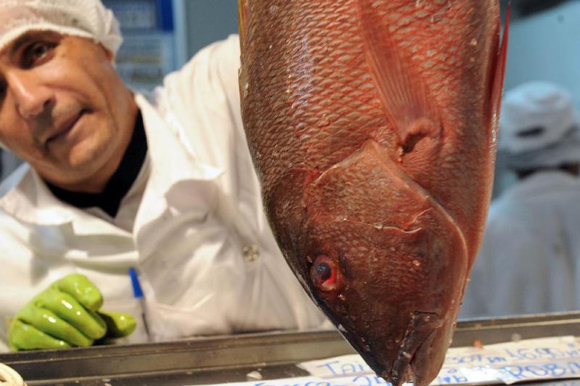 Brasil deve ser protagonista na produção de pescados, diz secretário Brasil deve ser protagonista na produção de pescados, diz secretário
