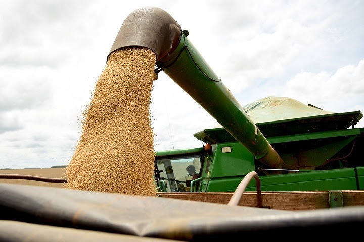 Clima prejudica e produção de soja em MS encerra ciclo com redução próxima a 9% Clima prejudica e produção de soja em MS encerra ciclo com redução próxima a 9%