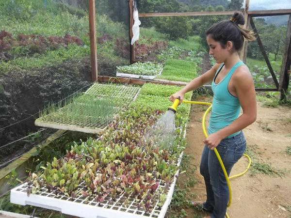 Famasul lança programa de incentivo ao empreendedorismo rural entre os jovens