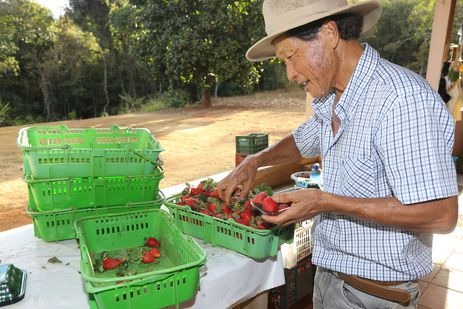Ipea: número de aposentadorias rurais é maior que população declarada Reforma da Previdência propõe mudanças na aposentadoria rural Foto: Valter Campanato/Agência Brasil