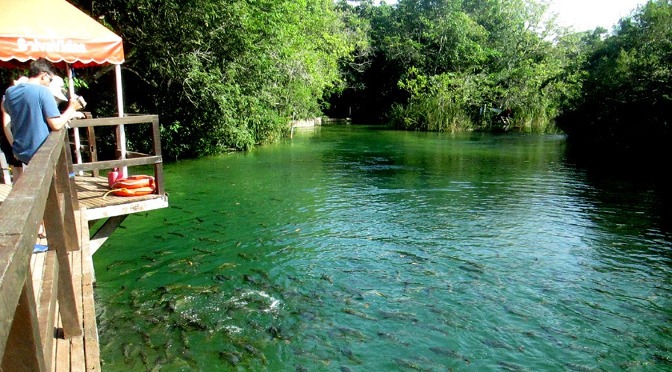 Bonito integra lista de cidades com passeios de aventura inclusivos para cadeira Bonito integra lista de cidades com passeios de aventura inclusivos para cadeira