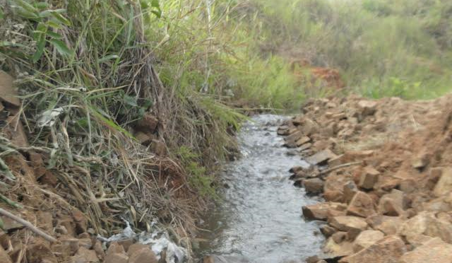 PMA autua fazendeiro em R$ 7 mil por degradar matas ciliares de córrego