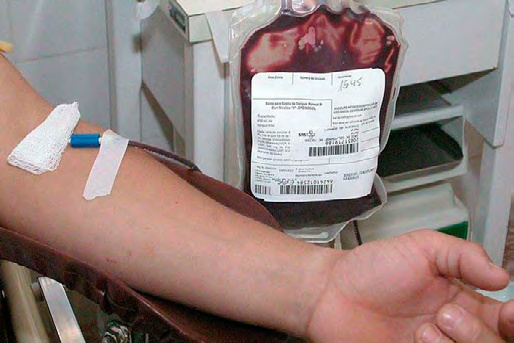 Governo tem novos critérios para doação de sangue devido à febre amarela Foto: Divulgação