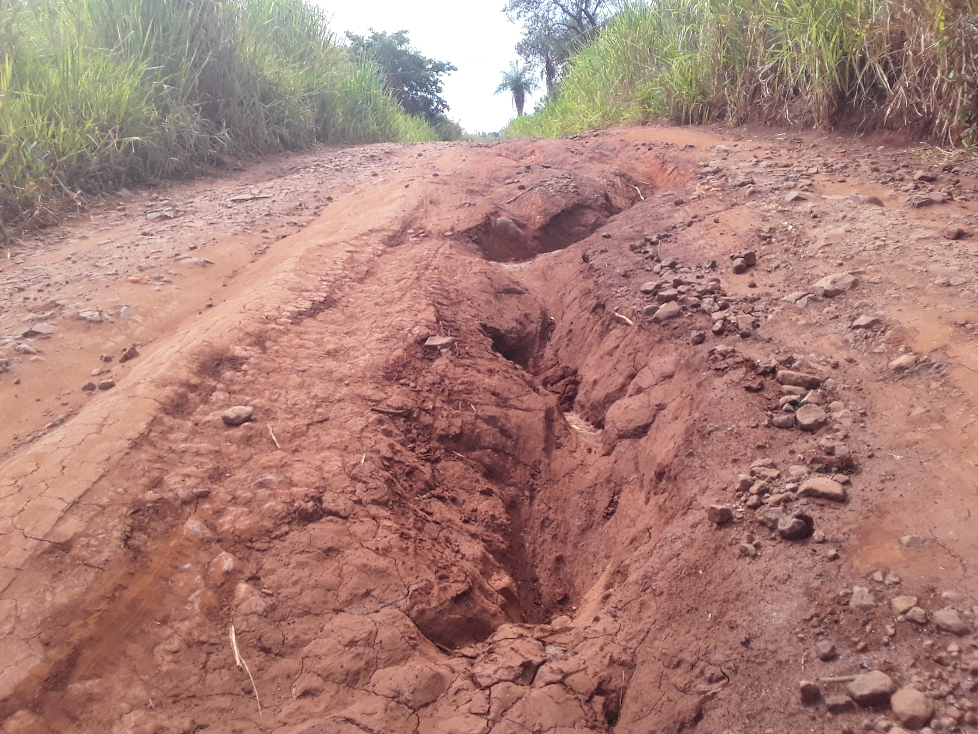 Estrada emburaca tem trazido insegurança para a comunidade da aldeia Amambai / Foto: Assessoria