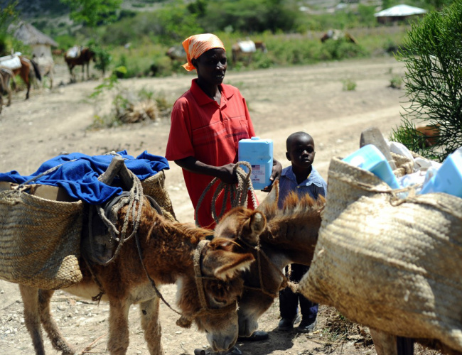 Seca prolongada causa grave crise alimentar no Haiti, adverte ONU