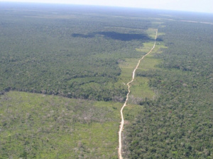 Entidades da sociedade civil pedem cumprimento do Código Florestal
