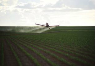 Vendas de fertilizantes devem ser recordes