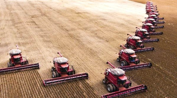Aumento de área plantada coloca MS entre os maiores produtores de grãos do país Aumento de área plantada coloca MS entre os maiores produtores de grãos do país