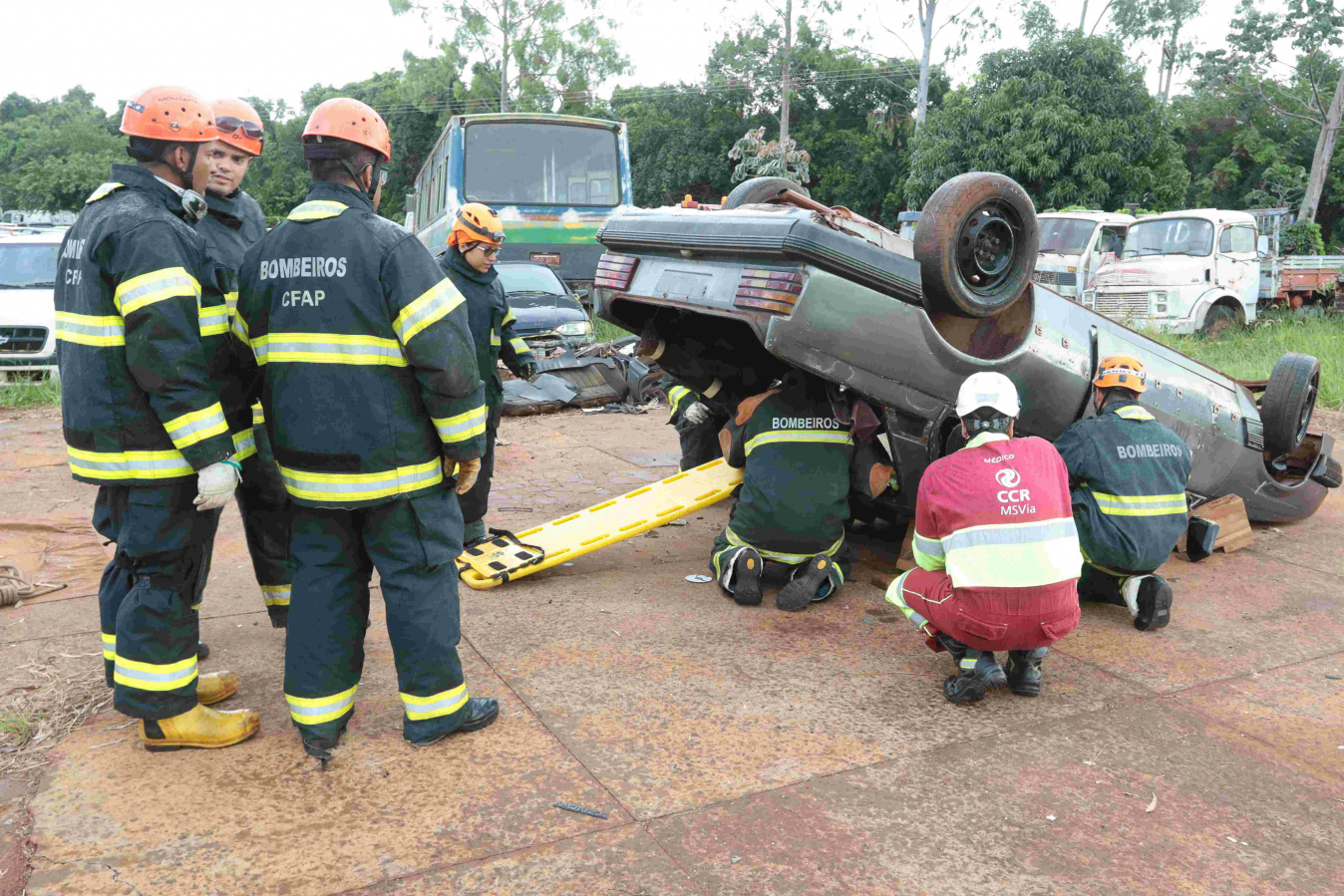 Foto: Divulgação 