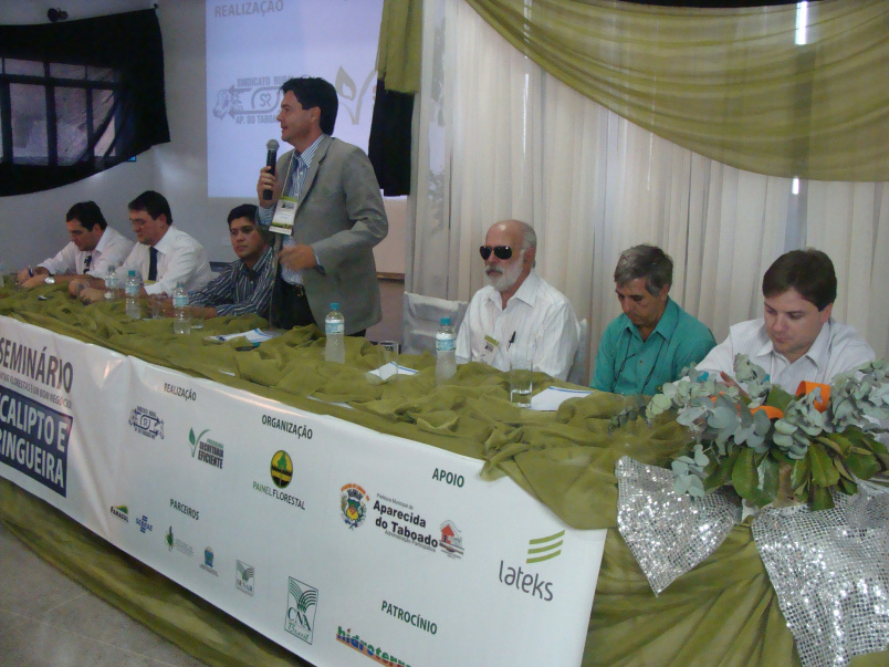 Silvicultura é alternativa lucrativa para produtores de MS Silvicultura é alternativa lucrativa para produtores de MS