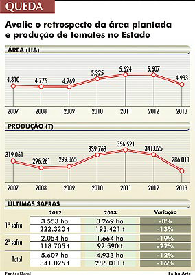 Quem perseverou, faturou com o tomate
