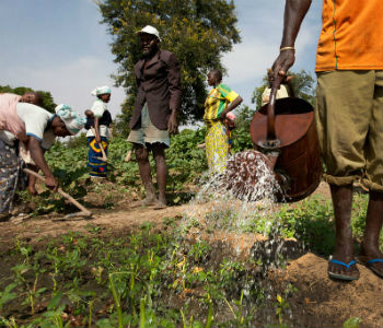 Funcionários de cooperativa em Burkina Faso. Foto: Banco Mundial/Dominic Chavez